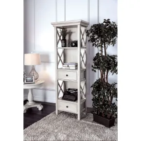 Furniture of America CM-AC278 Aldora - Pier Cabinet With 2 Doors - Antique White