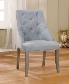 Furniture of America CM3020SC-2PK Diocles - Side Chair (Set of 2) - Silver / Gray