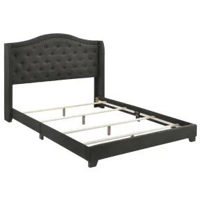 CoasterEssence 310072F Sonoma - Upholstered Full Wingback Bed - Gray