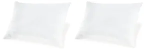 Ashley Sleep® M52110 Zephyr 2.0 - Cotton Pillow (Set of 2)(9/CS) - White