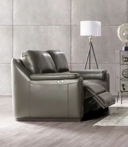 Furniture of America FM90002GY-LV-PM-PK Altamura - Power Loveseat - Gray