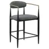 Coaster Fine Furniture 121186 Tina - Fabric Upholstered Counter Chair (Set of 2) - Dark Gray