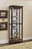 Pulaski Furniture 21308 PFC Curios - Mirrored 5 Shelf Gallery Curio Cabinet - Oak Brown