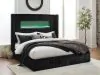 Ashley Furniture PCB620B2 Ashley Furniture PCB620B2 Tayleena - King Upholstered Bed With Fireplace And Wireless Audio - Black