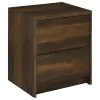 Coaster Fine Furniture 315882 Westpark - 2-Drawer Nightstand LED Lights And USB - Dark Pine