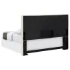 CoasterEveryday 315980QF Pirro - Upholstered Queen / Full Panel Headboard - Sand