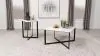 Coaster Fine Furniture 707698-S2 Tobin - 2 Piece Marble Top Coffee And End Table Set - White