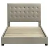 Coaster Fine Furniture 315911TANQ Medley - Genuine Leather Queen Panel Platform Bed - Tan