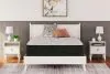 Ashley Sleep® M40631 Elite Springs Plush - Queen Mattress - Gray / Blue