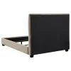 CoasterEssence 300007Q Chloe - Upholstered Queen Panel Bed - Oatmeal