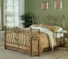 CoasterEssence 300171Q Sydney - Metal Queen Open Frame Bed - Antique Brushed Gold