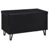 Coaster Fine Furniture 915152 Brixton - 2-Door Padded Entryway Shoe Storage Bench - Black