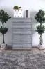 Furniture of America CM7075C Mccredmond - Chest - Silver