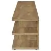Coaster Fine Furniture 710543 Cartmill - 2-Tier TV Stand Media Console - Mango