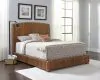CoasterEssence 300501Q Laughton - Banana Leaf Queen Panel Bed - Amber