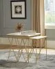 CoasterEssence 930075 Bette - 2 Piece Marble Top Nesting Table Set - White And Gold