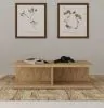 Coaster Fine Furniture 706178 Cortona - Square Engineered Wood Cocktail Coffee Table - Mango