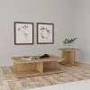 Coaster Fine Furniture 706178-S2 Cortona - 2 Piece Coffee And End Table Set - Mango
