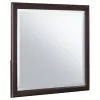 Coaster Fine Furniture 223064 Emberlyn - Dresser Mirror - Brown