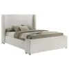 Coaster Fine Furniture 310078Q Alamosa - Boucle Upholstered Queen Wingback Bed - White