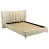 Coaster Fine Furniture 315956Q Evelyn - Upholstered Queen Panel Platform Bed - Ivory