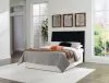 Ashley Furniture B1013-57 Ashley Furniture B1013-57 Danziar - Queen Panel Headboard - Black