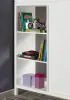 Furniture of America CM-BK970-BED Cassidy - Twin Loft Bed With Drawers - White