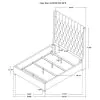 CoasterEssence 300621QB1 Camille - Upholstered Queen Panel Headboard - Gray