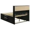 CoasterEssence 202701Q-S4 Briana - 4 Piece Queen Bedroom Set - Black