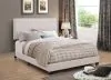 CoasterEveryday 350051T Boyd - Upholstered Twin Panel Bed - Ivory