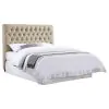 CoasterEssence 300007FB1 Chloe - Upholstered Full Panel Headboard - Oatmeal
