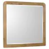 Coaster Fine Furniture 225094 Robyn - Dresser Mirror - Light Ash