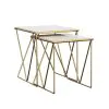 CoasterEssence 930075 Bette - 2 Piece Marble Top Nesting Table Set - White And Gold