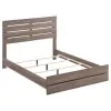 CoasterEveryday 207041Q Brantford - Wood Queen Panel Bed - Barrel Oak