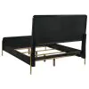 Coaster Fine Furniture 224331QCRM-S5 Arini - 5 Piece Queen Bedroom Set - Cream And Black