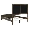 Coaster Fine Furniture 224930QB1 Gran Park - Queen Headboard, Footboard & Slats, Box 1 of 2 - Dark Cocoa