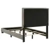 Coaster Fine Furniture 300851T Dorian - Fabric Upholstered Twin Panel Bed - Taupe