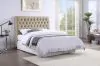 CoasterEssence 300007FB1 Chloe - Upholstered Full Panel Headboard - Oatmeal