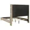Coaster Fine Furniture 224731QB1 Lucia - Queen Headboard, Headboard Wings, Footboard & Slats, Box 1 of 2 - Beige