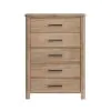 New Classic B2123-070 Anika - 5 Drawer Chest - Natural / Brown