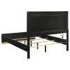 Coaster Fine Furniture 224781Q Caraway - Wood Queen LED Panel Bed - Black