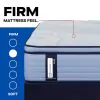 Tempur Sealy 53199240 Tempur Sealy 53199240 Posturepedic Plus - Paterson II Euro Pillow Top Firm Mattress - Full