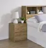 Coaster Fine Furniture 315902 Westpark - 2-Drawer Nightstand LED Lights And USB - Mango