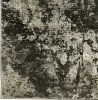 Furniture of America RG5193S Develi - 5' x 7' Area Rug - Gray Fabric