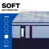 Tempur Sealy 53199940 Tempur Sealy 53199940 Posturepedic Pro - Dupont II Euro Pillow Top Soft Mattress - Full