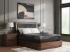 Sierra Sleep® by Ashley M31131 Millennium 2.0 Foam 12 Inch - Queen Mattress - Black
