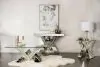 CoasterElevations 723447 Taffeta - Glass Top Mirrored Acrylic End Table - Silver