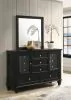CoasterEssence 201323M Sandy Beach - 11-Drawer Dresser With Mirror - Black