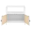 Coaster Fine Furniture 961642 Amherst - 2-Door Radio Weave Cane Metal Accent Cabinet - White
