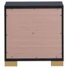 Coaster Fine Furniture 222832 Marceline - 2-Drawer Nightstand - Black